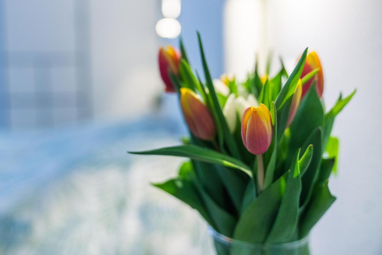 Ruote Apt - Dolcevita Holiday Apartment Флоренция Екстериор снимка